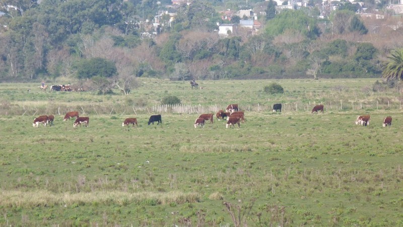 Campo sobre el arroyo Maldonado